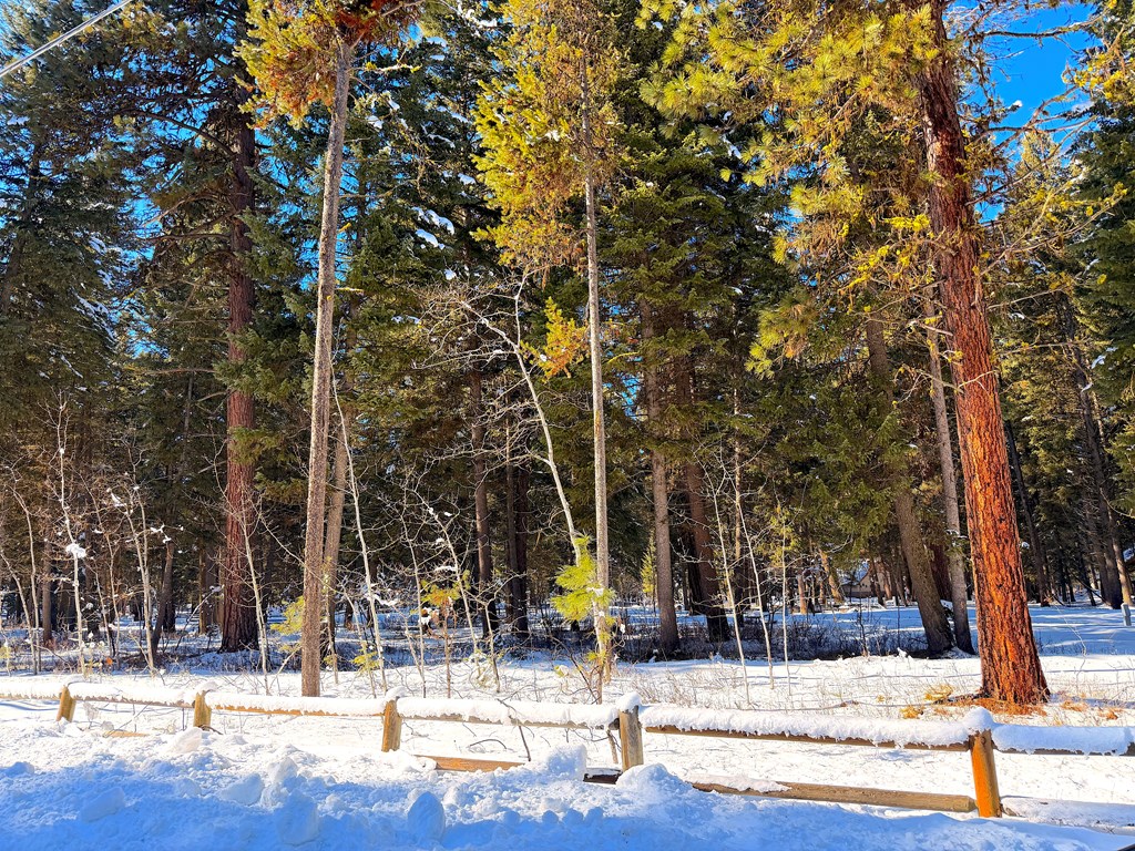 Easy Access to Trails