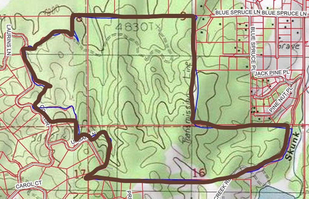 Topo Map of Property