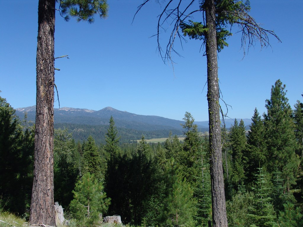 Gorgeous Mountain Views