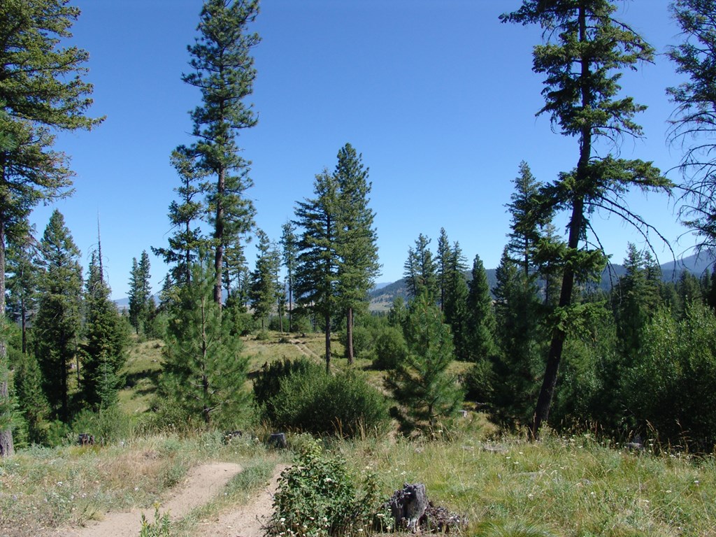 Easy Exploration of the Property