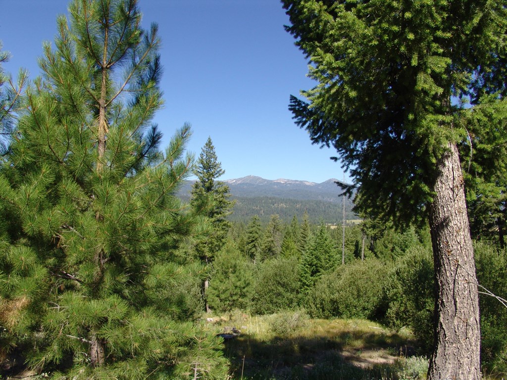 Make This Your Private Hide-Out