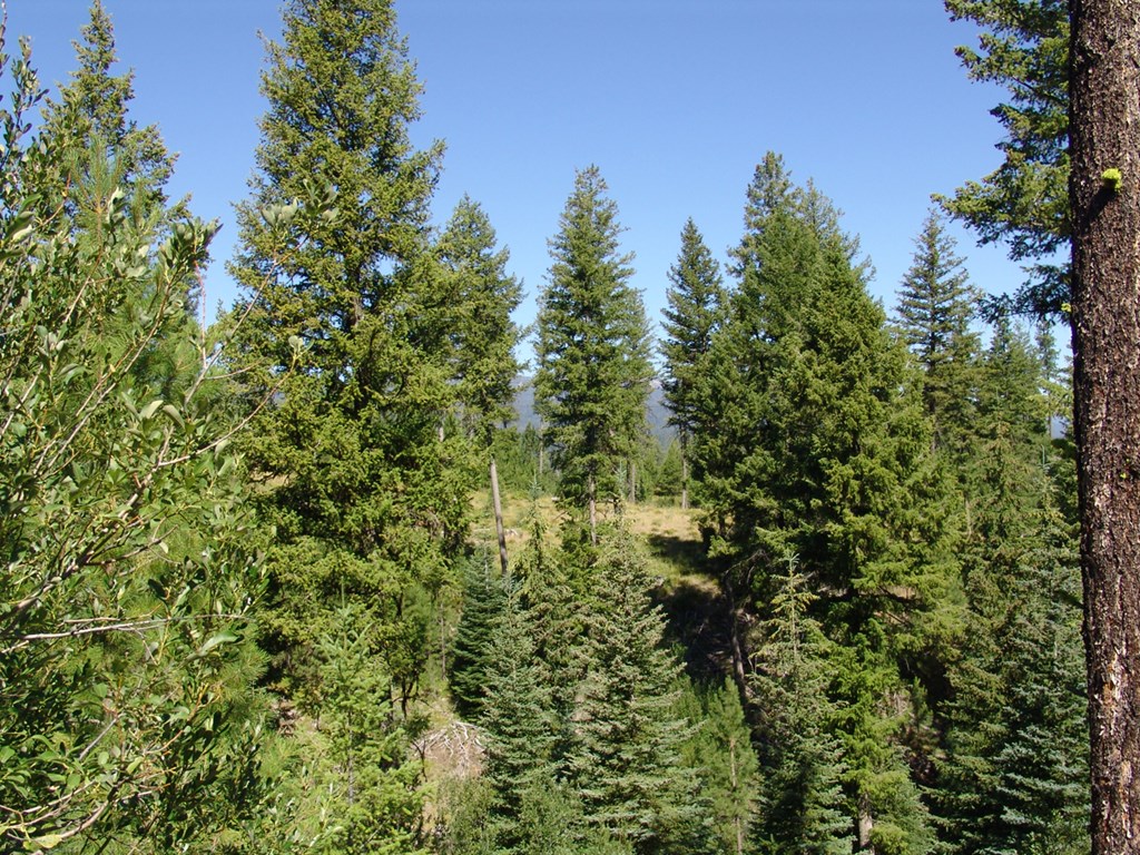 Borders State Land on the South for 2000 Feet