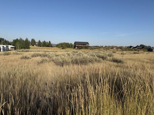 13975 WRANGLER RD, MCCALL, ID 83638 - Image d65e49933a59335ca4e0cbcbc95ee2a7/2896864590