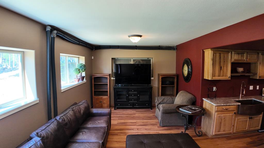 downstairs great room