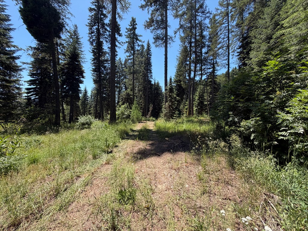 Lots of Room for your RVs
