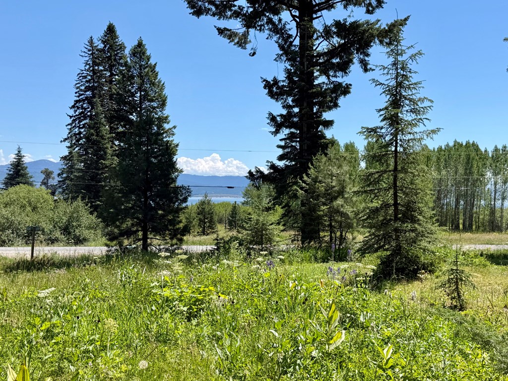 Peek A Boo View of Lake Cascade