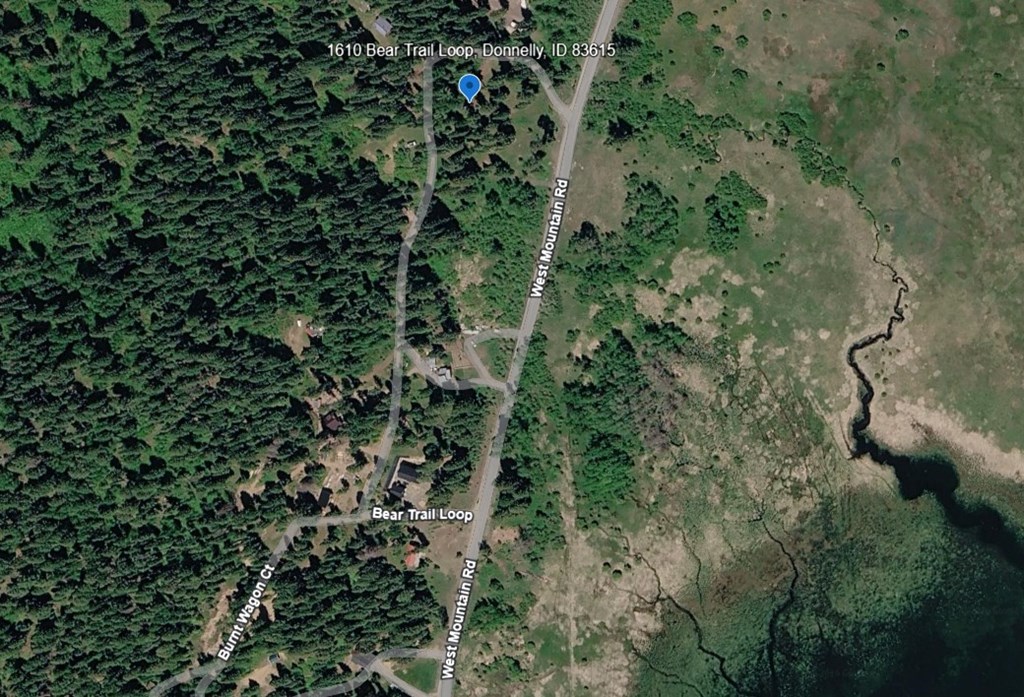 Google Earth Image