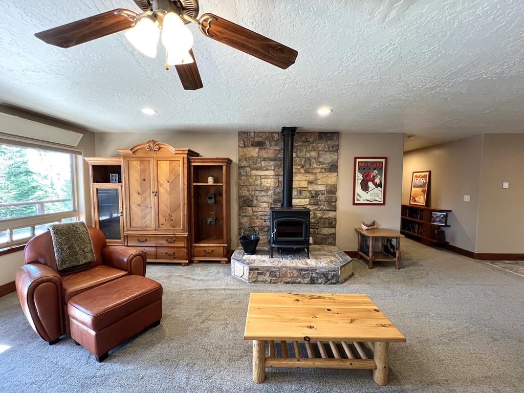 Downstairs great room