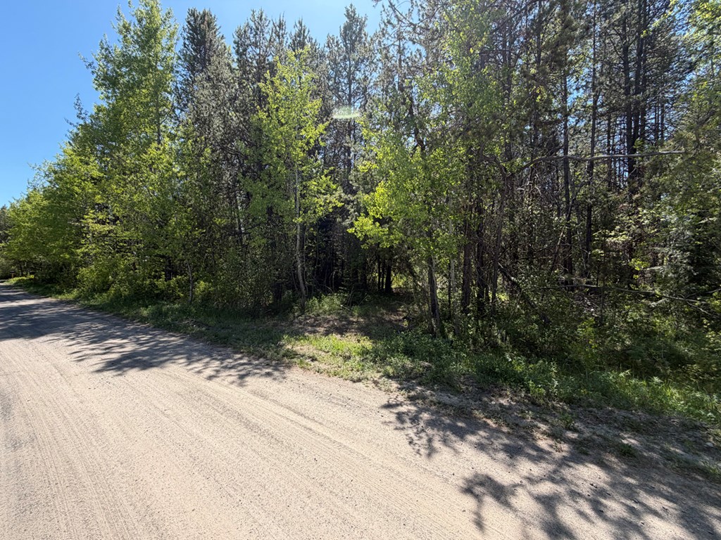 Not to Far to Boulder Creek Boat Ramp