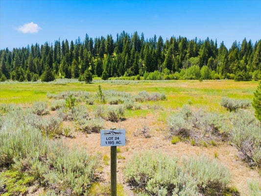 TARGHEE CT, MCCALL, ID 83638 - Image fd201d4bd5308d7f867fc60fe1efecc3/1762129224