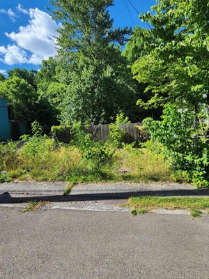 65 CREEKSIDE DR, NORTHFORK, WV 24868 - Image 7e28e83f824fe09a62ef349dfdb3bc2c/273746427
