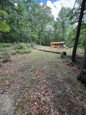 3086 WYRICK TRL, BLAND, VA 24315 - Image cd74efd60f6acec9e459065b02c2aae1/2388854537