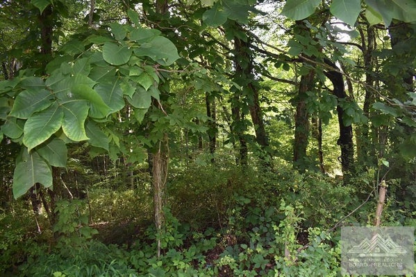 TBA BEVERLY HILLS DR, NORTH TAZEWELL, VA 24630 - Image fdb8f235b9c75d1ac136fae7b4e6719a/3280296088