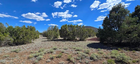 Photo of Williams, AZ 86046 (MLS # 204799)