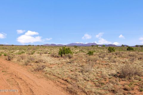 Photo of Williams, AZ 86046 (MLS # 200641)
