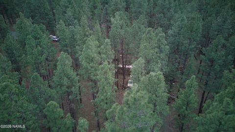 7350 E Jolly Rogue Lane Williams AZ 86046