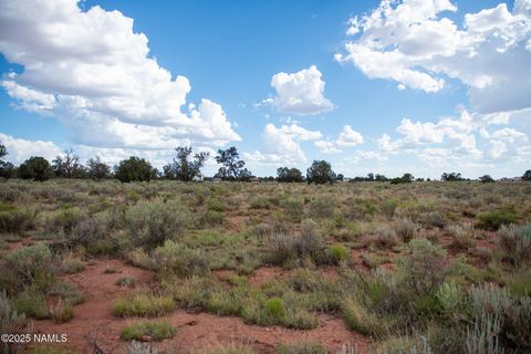 Photo of Williams, AZ 86046 (MLS # 201400)