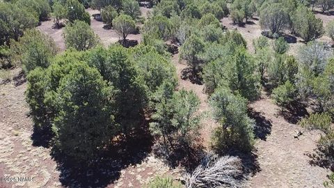 Photo of Williams, AZ 86046 (MLS # 201924)