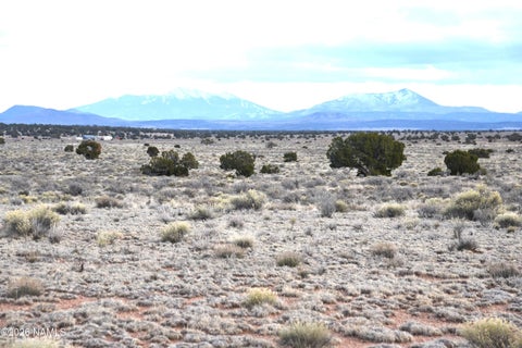 Featured picture for the property 203390