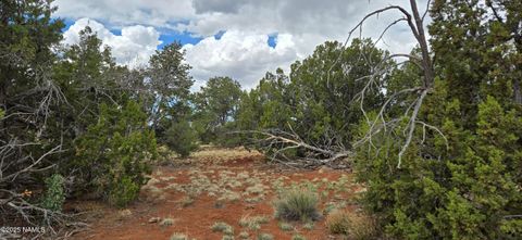 5666 Lasso Loop Williams AZ 86046