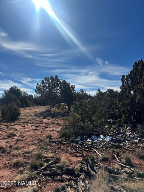 Photo of Williams, AZ 86046 (MLS # 203418)