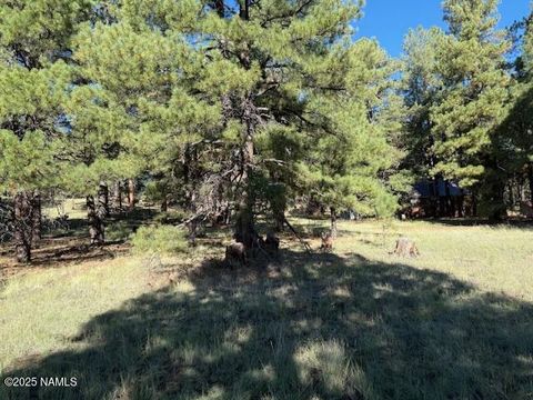 5920 White Tail Lane Flagstaff AZ 86005