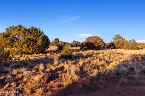 Photo of Williams, AZ 86046 (MLS # 202952)