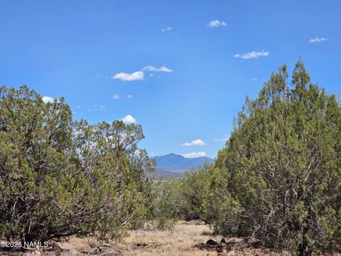 Photo of Williams, AZ 86046 (MLS # 201434)