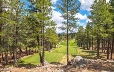 2832 Andrew Douglass Flagstaff AZ 86005