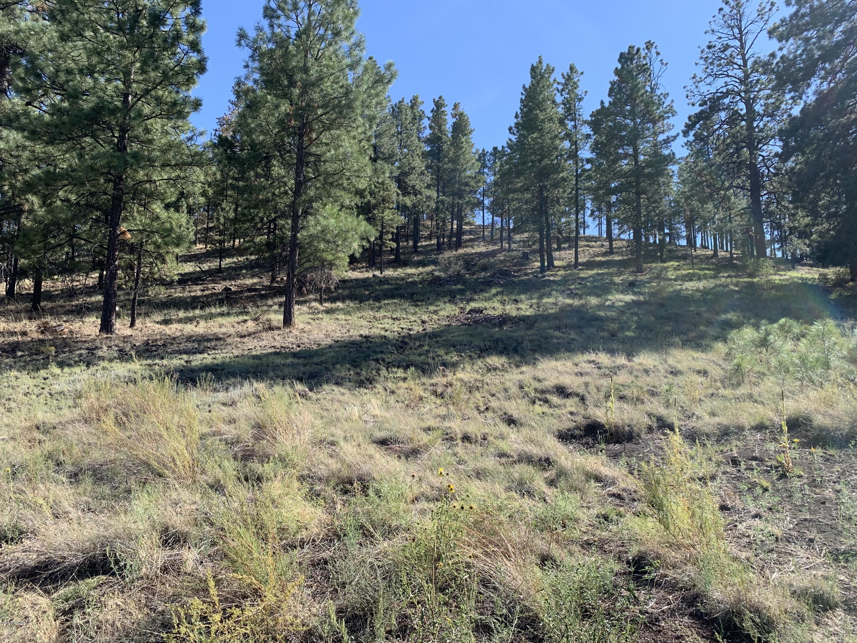 11668 N Rope Arabian Road 2