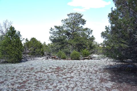 Photo of Williams, AZ 86046 (MLS # 204020)