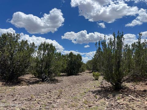 Photo of Williams, AZ 86046 (MLS # 203417)