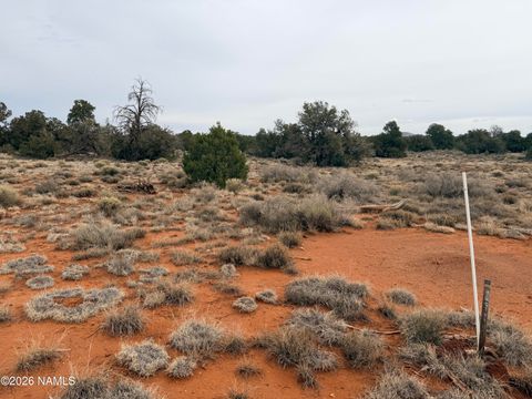 Photo of Williams, AZ 86046 (MLS # 202754)