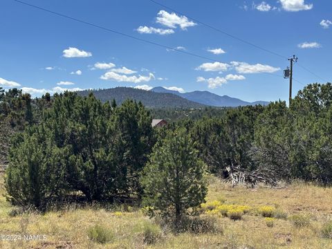 Photo of Williams, AZ 86046 (MLS # 202308)