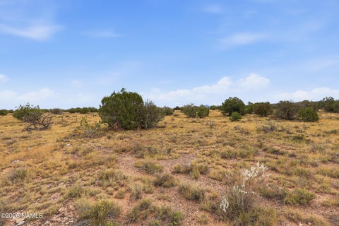 Photo of Williams, AZ 86046 (MLS # 206451)