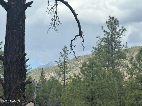 Photo of Flagstaff, AZ 86001 (MLS # 200528)