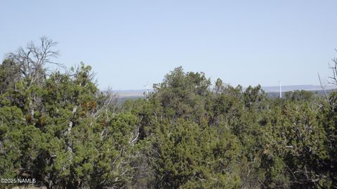 Photo of Williams, AZ 86046 (MLS # 201624)