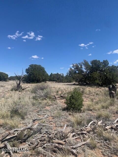Photo of Williams, AZ 86046 (MLS # 201981)