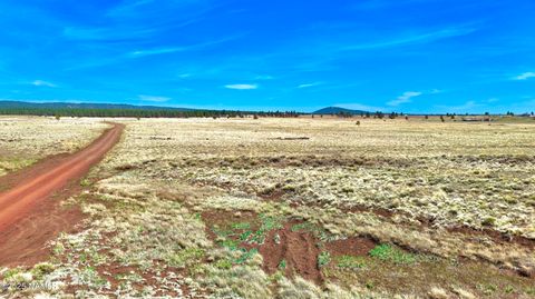 Photo of Parks, AZ 86018 (MLS # 200986)