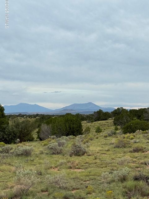 Photo of Williams, AZ 86046 (MLS # 202106)