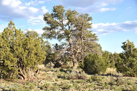 Photo of Williams, AZ 86046 (MLS # 204276)