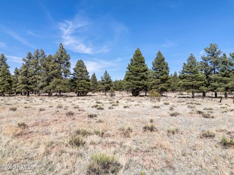 Photo of Parks, AZ 86018 (MLS # 200805)