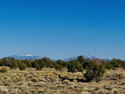 Photo of Williams, AZ 86046 (MLS # 202202)