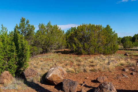 Photo of Williams, AZ 86046 (MLS # 205427)