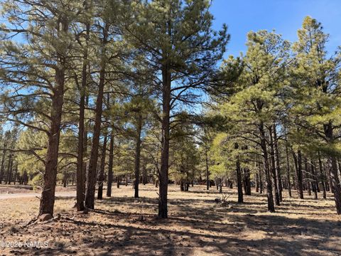 3210 W Northwood Court Williams AZ 86046