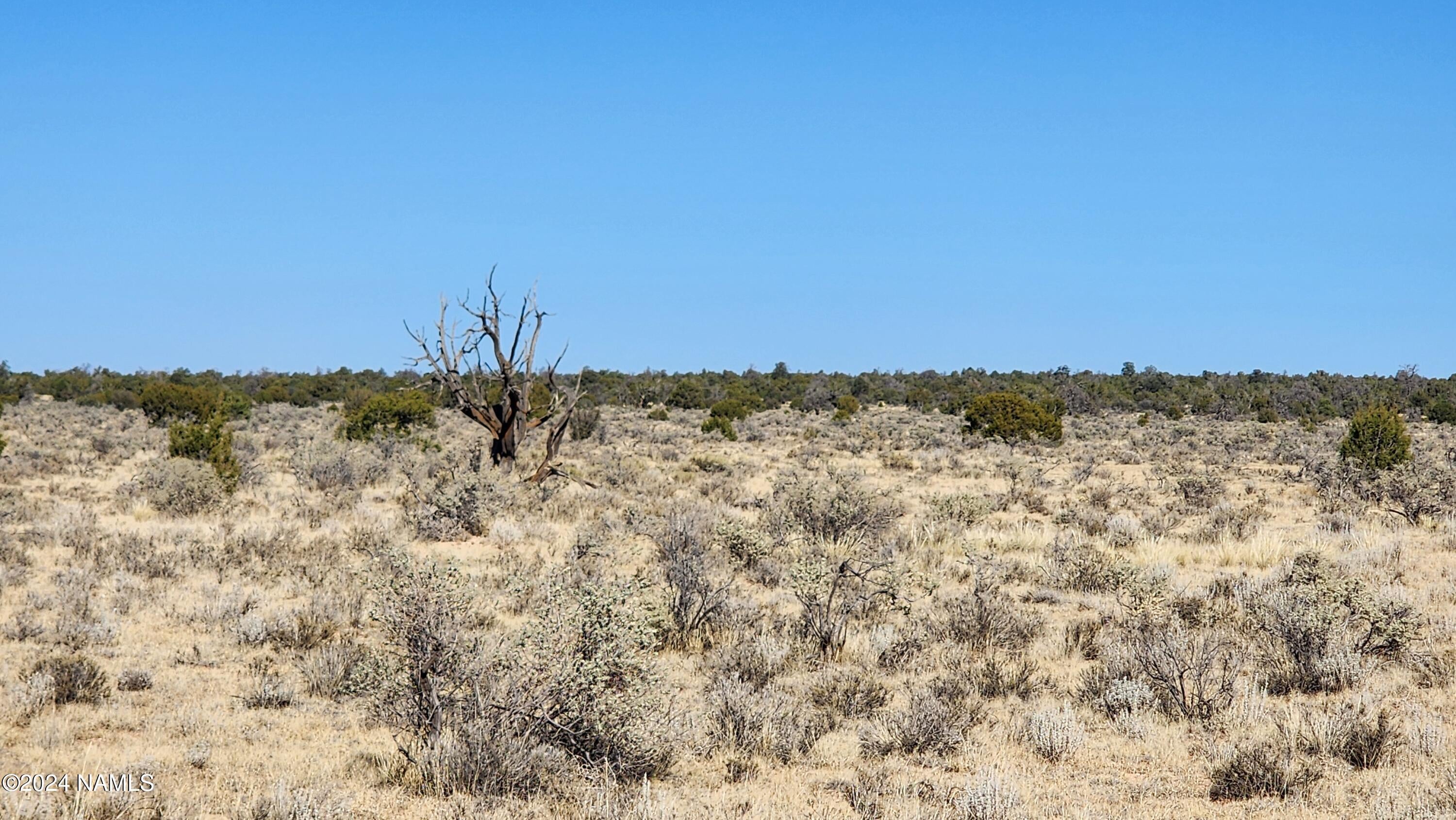 3433 Red Butte Rd Lot A