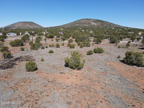 1634 E Prospect Lane Williams AZ 86046