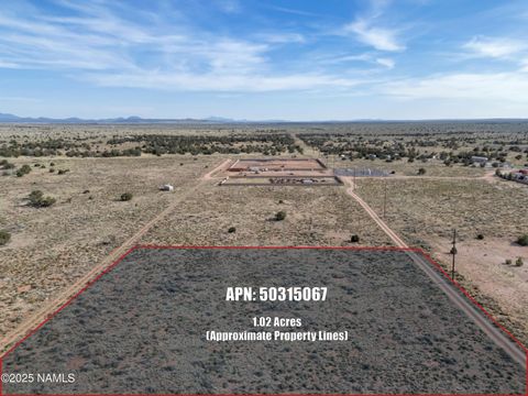 Photo of Williams, AZ 86046 (MLS # 201295)