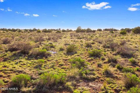 Photo of Williams, AZ 86046 (MLS # 200648)