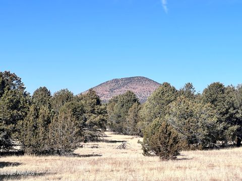 Photo of Williams, AZ 86046 (MLS # 203546)